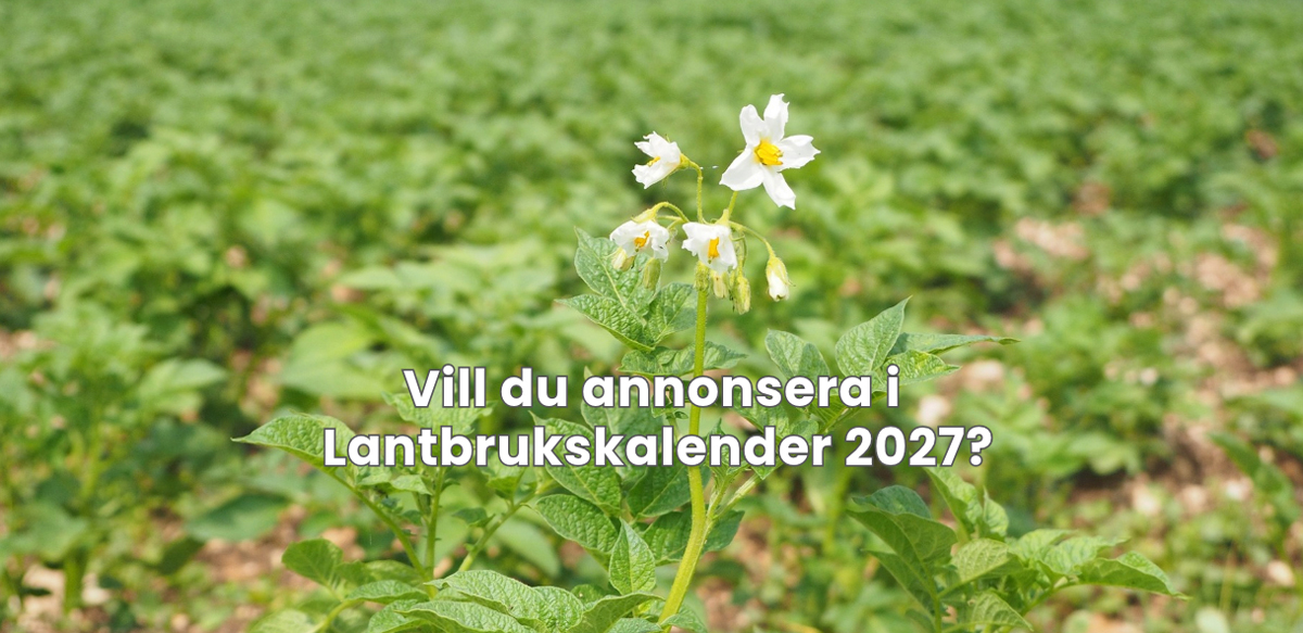 Annnsera i Kalender